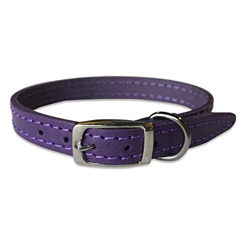 BBD Pet Products Lederhalsband, einfarbig, 1,27 x 25,4 bis 30,5 cm, Einheitsgröße, Violett von BBD Pet Products