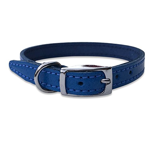 BBD Pet Products Lederhalsband, einfarbig, 1,27 x 30,5 bis 35,6 cm, Einheitsgröße, Königsblau von BBD Pet Products