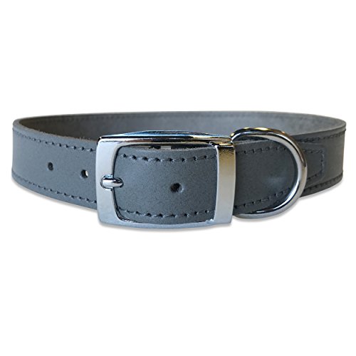 BBD Pet Products Lederhalsband, einfarbig, 2,5 x 45,7 bis 53,3 cm, Einheitsgröße, Grau BBD Pet Products Lederhalsband, einfarbig, 2,5 x 45,7 bis 53,3 cm, Einheitsgröße, Grau von BBD Pet Products