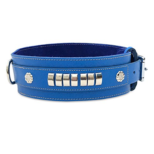 BBD Pet Products Mastiff-Halsband, Einheitsgröße, 1,27 x 66 cm, Königsblau von BBD Pet Products