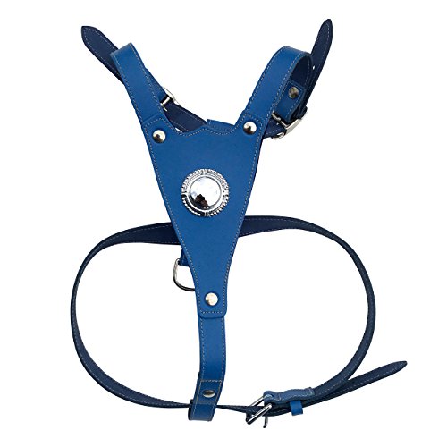 BBD Pet Products Max Mastiff/Rotwellier Hundegeschirr, Einheitsgröße, 84 cm, Royal BBD Pet Products Max Mastiff/Rotwellier Hundegeschirr, Einheitsgröße, 84 cm, Royal von BBD Pet Products