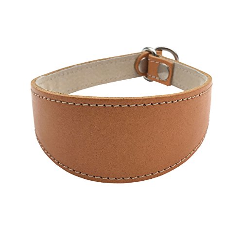 BBD Pet Products Schlupfhalsband für Windhunde, Einheitsgröße, 1,9 x 35,6 cm bis 40,6 cm, Hellbraun von BBD Pet Products