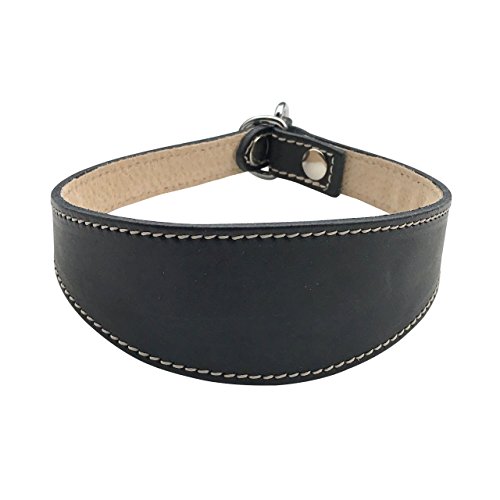 BBD Pet Products Schlupfhalsband für Windhunde, Einheitsgröße, 1,9 x 35,6 cm bis 40,6 cm, Schwarz BBD Pet Products Schlupfhalsband für Windhunde, Einheitsgröße, 1,9 x 35,6 cm bis 40,6 cm, Schwarz von BBD Pet Products