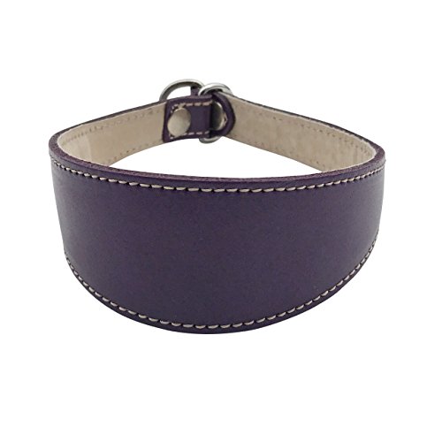 BBD Pet Products Schlupfhalsband für Windhunde, Einheitsgröße, 1,9 x 35,6 cm bis 40,6 cm, Violett BBD Pet Products Schlupfhalsband für Windhunde, Einheitsgröße, 1,9 x 35,6 cm bis 40,6 cm, Violett von BBD Pet Products