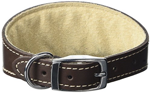 BBD Pet Products Whippet Halsband, Einheitsgröße, 1,9 x 25,4 bis 30,5 cm, Braun von BBD Pet Products