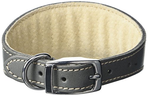 BBD Pet Products Whippet-Halsband, Einheitsgröße, 1,9 x 25,4 bis 30,5 cm, Grau BBD Pet Products Whippet-Halsband, Einheitsgröße, 1,9 x 25,4 bis 30,5 cm, Grau von BBD Pet Products