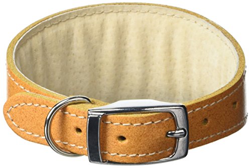 BBD Pet Products Whippet-Halsband, Einheitsgröße, 1,9 x 25,4 bis 30,5 cm, Hellbraun BBD Pet Products Whippet-Halsband, Einheitsgröße, 1,9 x 25,4 bis 30,5 cm, Hellbraun von BBD Pet Products