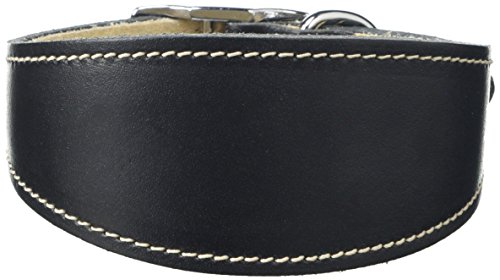BBD Pet Products Whippet Halsband, Einheitsgröße, 1,9 x 25,4 bis 30,5 cm, Schwarz BBD Pet Products Whippet Halsband, Einheitsgröße, 1,9 x 25,4 bis 30,5 cm, Schwarz von BBD Pet Products