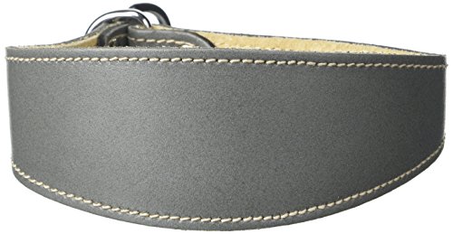 BBD Pet Products Whippet Schlupfhalsband, Einheitsgröße, 1,9 x 30,5 bis 35,6 cm, Grau BBD Pet Products Whippet Schlupfhalsband, Einheitsgröße, 1,9 x 30,5 bis 35,6 cm, Grau von BBD Pet Products