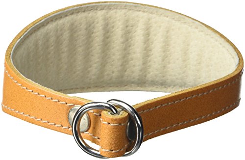 BBD Pet Products Whippet Schlupfhalsband, Einheitsgröße, 1,9 x 30,5 bis 35,6 cm, Hellbraun BBD Pet Products Whippet Schlupfhalsband, Einheitsgröße, 1,9 x 30,5 bis 35,6 cm, Hellbraun von BBD Pet Products