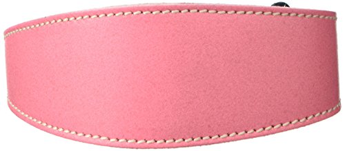 BBD Pet Products Whippet Schlupfhalsband, Einheitsgröße, 1,9 x 30,5 bis 35,6 cm, Pink BBD Pet Products Whippet Schlupfhalsband, Einheitsgröße, 1,9 x 30,5 bis 35,6 cm, Pink von BBD Pet Products