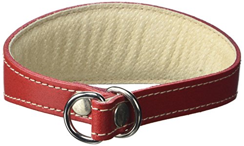 BBD Pet Products Whippet Schlupfhalsband, Einheitsgröße, 1,9 x 30,5 bis 35,6 cm, Rot BBD Pet Products Whippet Schlupfhalsband, Einheitsgröße, 1,9 x 30,5 bis 35,6 cm, Rot von BBD Pet Products