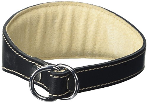 BBD Pet Products Whippet Schlupfhalsband, Einheitsgröße, 1,9 x 30,5 bis 35,6 cm, Schwarz von BBD Pet Products