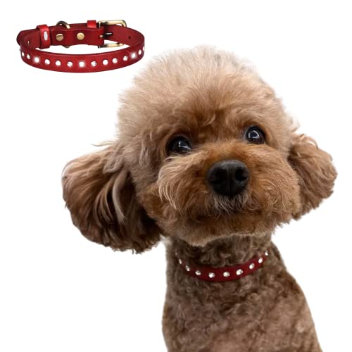 Haustierhalsband, Bling Strass Lederhalsband Verstellbares Welpenhalsband für kleine mittelgroße Hunde (L, Rot) von BBEART