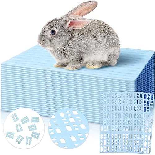 BBTO Kaninchenkäfigmatte aus Kunststoff, langlebig, für kleine Tiere, mit praktischen Verbindungen, Hasen-Pads für einfache Reinigung, für Kaninchen, Ratten, Meerschweinchen, Katzen, Blau, 24 Stück von BBTO