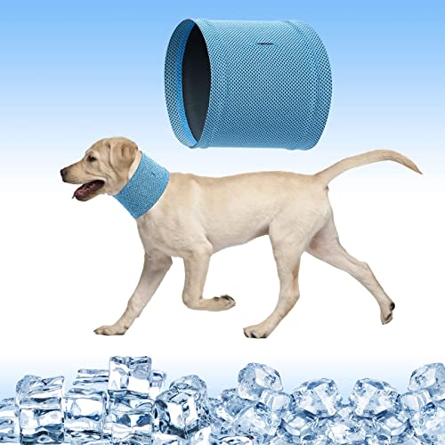 Hund Sofortige Kühlung Bandana, atmungsaktives weiches Hund Eis Halstuch, Sommer Kühlhalsband für Hunde Welpen Haustier (Blau, Medium) von BBXWANG