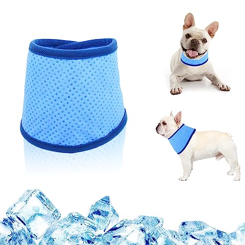 Hundekühlendes Bandana, Sofortige Kühlung Bandana für Hunde, Haustier Kühlendes Halstuch Katze Eis Halsband für Sommer (S) von BBXWANG