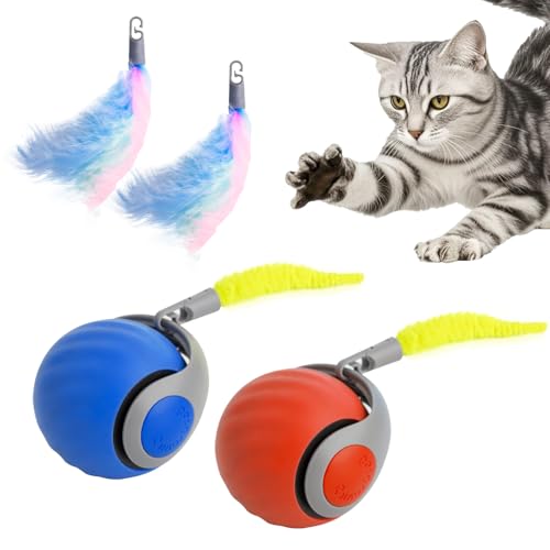 BBYHHE Speedy Tail 2.0 Katzenspielzeug, über USB wiederaufladbar, intelligenter interaktiver Katzenball, automatisch beweglicher Ball für Hauskatzen, Ersatzschwanz im Lieferumfang enthalten (2 Stück) BBYHHE Speedy Tail 2.0 Katzenspielzeug, über USB wiederaufladbar, intelligenter interaktiver Katzenball, automatisch beweglicher Ball für Hauskatzen, Ersatzschwanz im Lieferumfang enthalten (2 Stück) von BBYHHE