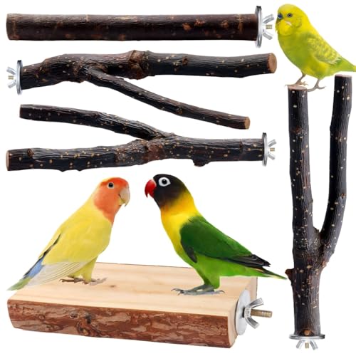 Vogelspielzeug, Sittichsitzstange, Wellensittichsitzstange, Holzständer, Gabelspielzeug, Sitzstange mit mehreren Ästen, Plattformspielzeug für kleine Sittiche, Nymphensittiche, Sperlingspapageien, Unz von BBjinronjy