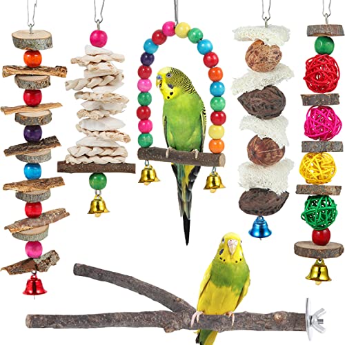 Vogelsitzstange – Kauspielzeug aus Holz für Papageien, Sittiche, Nymphensittiche, Wellensittiche, Finken und andere kleine und mittelgroße Vögel von BBjinronjy