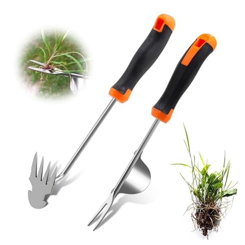 BCENG 2 Stück Unkrautstecher Edelstahl Wurzeljäter mit Griff Unkraut Werkzeug Manueller Weeder Weeding Artifact Unkrautjäter Gartenarbeit zum Graben Jäten Umpflanzen Entwurzeln BCENG 2 Stück Unkrautstecher Edelstahl Wurzeljäter mit Griff Unkraut Werkzeug Manueller Weeder Weeding Artifact Unkrautjäter Gartenarbeit zum Graben Jäten Umpflanzen Entwurzeln von BCENG