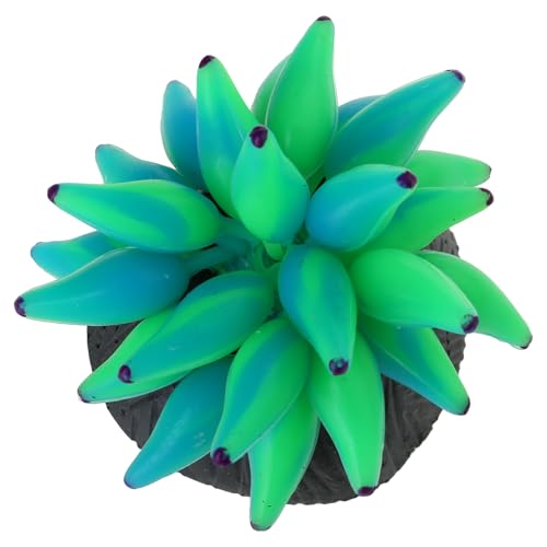 BCIOUS Künstliche Blume, dekorative Pflanze, bunte Dekorationen für Aquarien, Ornamente, leuchtet im Dunkeln, Pflanze für Terrarien, Aquarien, Ornamente, klein BCIOUS Künstliche Blume, dekorative Pflanze, bunte Dekorationen für Aquarien, Ornamente, leuchtet im Dunkeln, Pflanze für Terrarien, Aquarien, Ornamente, klein von BCIOUS