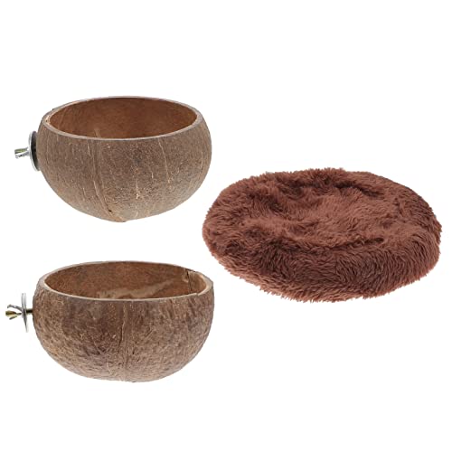 BCOATH Futternapf-Set Aus Kokosnussschalen Leicht Zu Reinigen Ohne Werkzeug Zu Installieren Für Frettchen Eichhörnchen Kurzkopfgleitbeutler Hamster Meerschweinchen BCOATH Futternapf-Set Aus Kokosnussschalen Leicht Zu Reinigen Ohne Werkzeug Zu Installieren Für Frettchen Eichhörnchen Kurzkopfgleitbeutler Hamster Meerschweinchen von BCOATH
