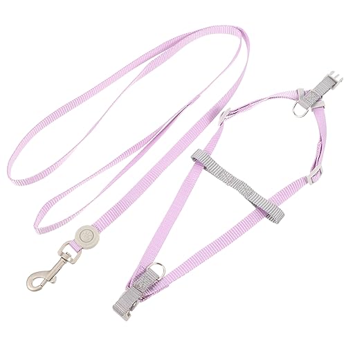 BCOATH 1satz Hundegeschirr Und Leine Set Verstellbar Leichtes Design Für Welpen Und Kleine Hunde Mit Praktischer Tragetasche Für Outdoor-aktivitäten von BCOATH