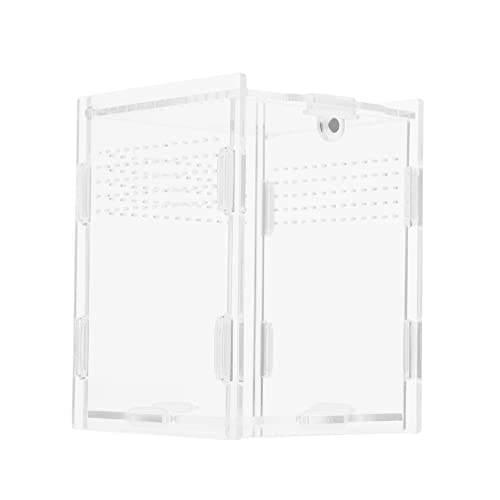 BCOATH Reptilien-lebensraumbox Acryltank Kletterzubehör Für Die Pflege Von Spinnen Eidechsen Und Schildkröten BCOATH Reptilien-lebensraumbox Acryltank Kletterzubehör Für Die Pflege Von Spinnen Eidechsen Und Schildkröten von BCOATH