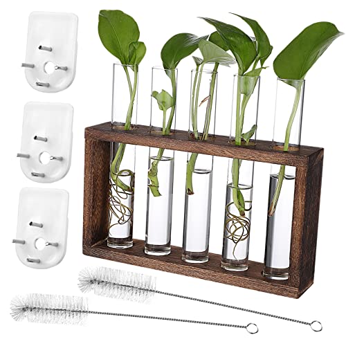 BCOATH 1Satz Pflanzenvermehrungsstation Holzständer mit Testrohren und Reinigungsbürsten für Wohn und Büroszenen Dekoratives Terrarium für Pflanzenliebhaber BCOATH 1Satz Pflanzenvermehrungsstation Holzständer mit Testrohren und Reinigungsbürsten für Wohn und Büroszenen Dekoratives Terrarium für Pflanzenliebhaber von BCOATH