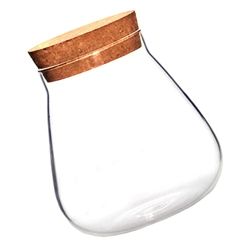BCOATH Elegante Glasflasche Ornamente Blumentöpfe Dekoration Handwerk Topf Display Topf BCOATH Elegante Glasflasche Ornamente Blumentöpfe Dekoration Handwerk Topf Display Topf von BCOATH