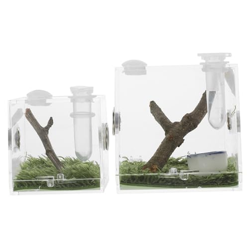 BCOATH 2 Stücke Acryl Springenden Spinne Gehäuse Box Luftbefeuchter Schnecke Für Insekten Lebensraum von BCOATH