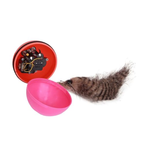 BCOATH 2 Stück Motorischer Katzenspielzeug Ball Batteriebetrieben Langlebiges Kunststoff Mausspielzeug Geeignet für Katzen Welpen und Kleine Hunde Zufällige Farben BCOATH 2 Stück Motorischer Katzenspielzeug Ball Batteriebetrieben Langlebiges Kunststoff Mausspielzeug Geeignet für Katzen Welpen und Kleine Hunde Zufällige Farben von BCOATH