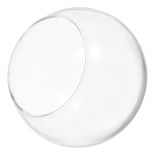 BCOATH Hergestellt Aus Glas 2 Stück Runde Flasche Landschaftsbehälter Moos Terrarium Pflanze BCOATH Hergestellt Aus Glas 2 Stück Runde Flasche Landschaftsbehälter Moos Terrarium Pflanze von BCOATH