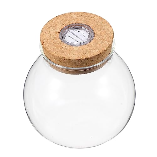 BCOATH 2 Stücke Borosilikatglas Fisch Flasche Landschaft Mit Licht Mini Fisch Tank Wohnkultur Vase von BCOATH