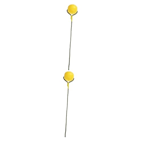 BCOATH 2St interaktives Spielzeug Dog Toy hundspielzeug für Haustiere Hunde spielsachen Beißspielzeug Ballspielzeug für Hunde Seil Ball Hundespielzeug Hund am Seil Yellow BCOATH 2St interaktives Spielzeug Dog Toy hundspielzeug für Haustiere Hunde spielsachen Beißspielzeug Ballspielzeug für Hunde Seil Ball Hundespielzeug Hund am Seil Yellow von BCOATH