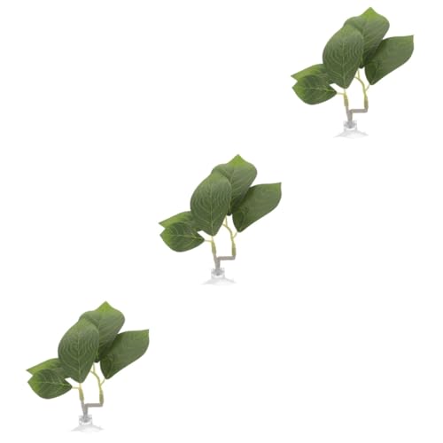 BCOATH 3 Stücke Betta Fisch Ruhen Blatt Natürliche Aquarium Decor Laichen Bett Tasse Einzigartige Betta Blatt Hängematte Aquarium Zubehör von BCOATH