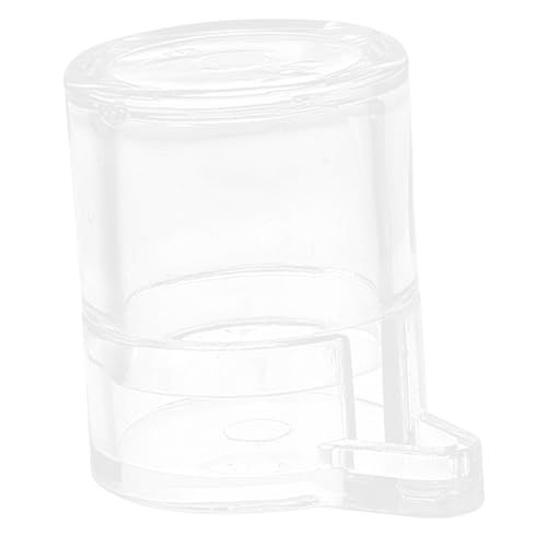 BCOATH Acryl Ameisen Wasserspender Transparent Stabil Langlebig Futterspender Für Ameisenfarm Praktische Wassertränke Für Ameisenhaltung BCOATH Acryl Ameisen Wasserspender Transparent Stabil Langlebig Futterspender Für Ameisenfarm Praktische Wassertränke Für Ameisenhaltung von BCOATH
