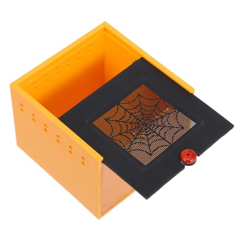 BCOATH Acrylic Reptile Spider and Insect Enclosure with Ventilation Holes for Home and Office Use Compact Design for Easy Monitoring von BCOATH