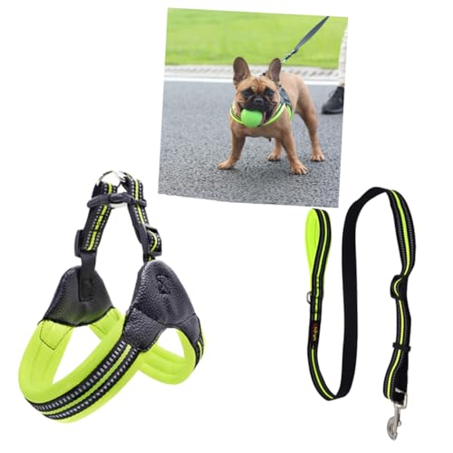 BCOATH Hundegeschirr Mit Leine Verstellbar Für Haustiere Aus Nylon Atmungsaktiv Mit Reflektor Für Bei Dunkelheit Geeignet Für Tägliche Spaziergänge von BCOATH