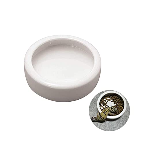BCOATH Crawler Futternapf aus Antiflüchtige Futterschale für Garnelen und Kleine Fische für Aquarien und Terrarien Multifunktional und Langlebig von BCOATH