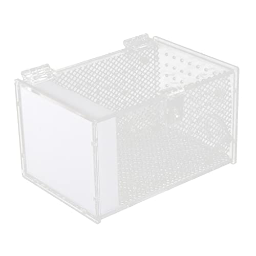 BCOATH Dosenschildkröte Kletterspinne mit Reptilien Weiß Behälter Reptilien Terrarium: Gehäuse Schlüpfen Sichtbar Halter Heimaquarium Acryl für Zucht Feeder Haustierbecken BCOATH Dosenschildkröte Kletterspinne mit Reptilien Weiß Behälter Reptilien Terrarium: Gehäuse Schlüpfen Sichtbar Halter Heimaquarium Acryl für Zucht Feeder Haustierbecken von BCOATH