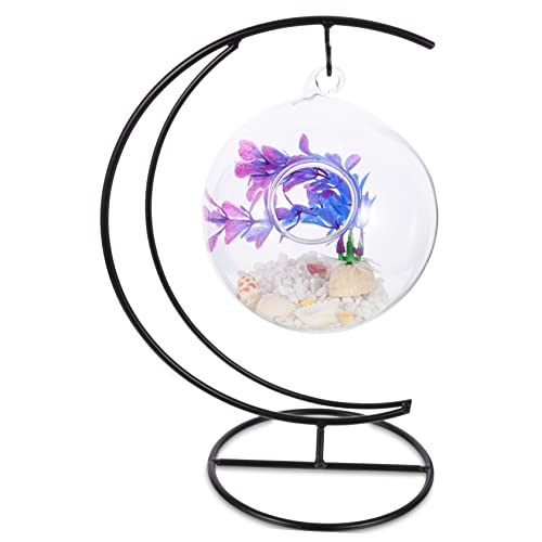 BCOATH Kreativer Hängender Glasfischtank Für Desktop-Dekoration Multi- -Aquarium Für Goldfische Und Betta Transparentes Design Mit Rundzylinder Zufällige Farben Für Zuhause Und Büro BCOATH Kreativer Hängender Glasfischtank Für Desktop-Dekoration Multi- -Aquarium Für Goldfische Und Betta Transparentes Design Mit Rundzylinder Zufällige Farben Für Zuhause Und Büro von BCOATH