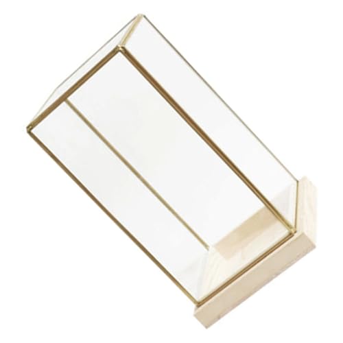 BCOATH Glas Vitrinenkuppel Abdeckungshalter Vitrine Glas Organizer Glaskuppel Abdeckung Glasvitrine Für Die Vitrine Glaskuppel Kleine Glaskugel Figur Aufbewahrungsbox BCOATH Glas Vitrinenkuppel Abdeckungshalter Vitrine Glas Organizer Glaskuppel Abdeckung Glasvitrine Für Die Vitrine Glaskuppel Kleine Glaskugel Figur Aufbewahrungsbox von BCOATH
