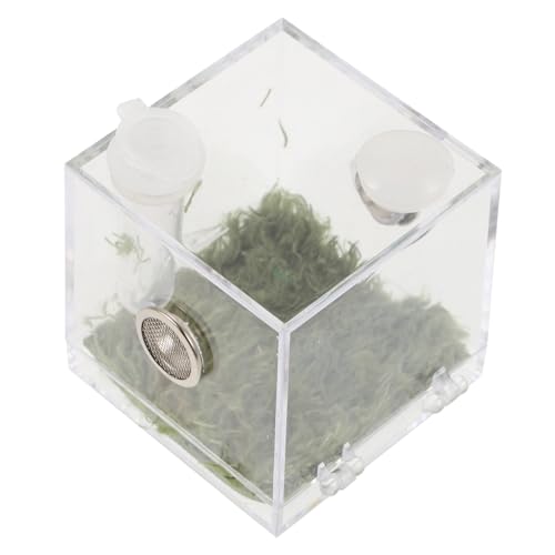 BCOATH Klares Spinnenterrarium mit Futteröffnung Praktisches Reptilien Aufzuchtbecken Transparente Insektenbox für Springspinnen und Kleine Haustiere Robust und Leicht Mittlere BCOATH Klares Spinnenterrarium mit Futteröffnung Praktisches Reptilien Aufzuchtbecken Transparente Insektenbox für Springspinnen und Kleine Haustiere Robust und Leicht Mittlere von BCOATH