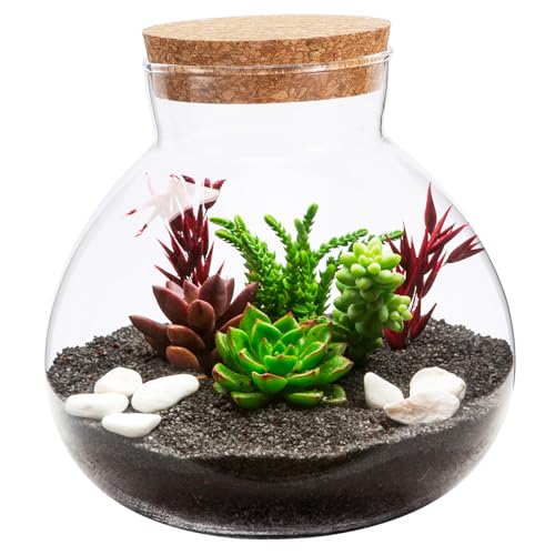BCOATH Terrarium Glas Pflanze Flasche 15cm X 16cm Ökologische Flasche Glas Kanister Landschaft Home Office Zubehör von BCOATH