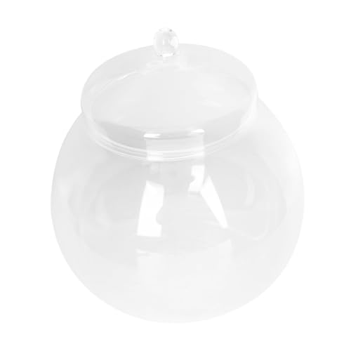 BCOATH Mikrolandschaft Glasflasche mit Deckel DIY Moos Terrarium für Innenraum Glatte Oberfläche Einfach zu Reinigen Kreatives Mikro landschafts ökosystem für Zimmer und Büro von BCOATH