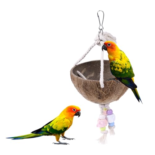 BCOATH Natürliche Kokosnussschale Papagei Schaukel mit Bunten Perlen Beißfestes Vogelspielzeug und Nest für Kleine Vögel Einfach zu Befestigen Geeignet für Käfigvögel und Wellensittiche von BCOATH