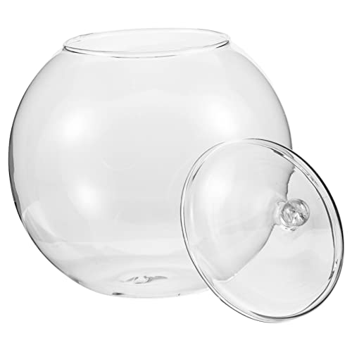 BCOATH Flasche Terrarium Pflanzenterrarium Glasflasche -Landschaft Ökologische Landschaftsflasche Dekorativer Behälter Pflanzenflasche Moospflanzenflasche DIY Flasche BCOATH Flasche Terrarium Pflanzenterrarium Glasflasche -Landschaft Ökologische Landschaftsflasche Dekorativer Behälter Pflanzenflasche Moospflanzenflasche DIY Flasche von BCOATH