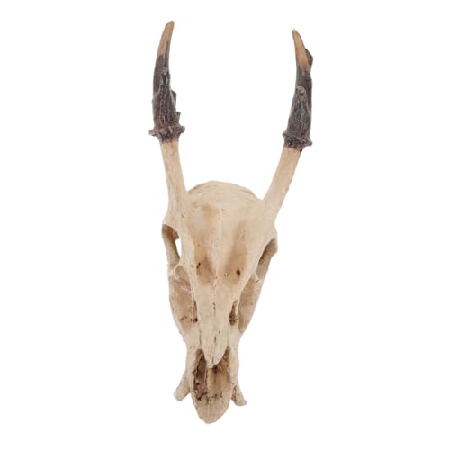 BCOATH Ornamente Für Die Von Haustieren Dekoration Für Reptilien Totenkopf Schlangenhabitat Schlangenversteck Aquarium Ornamente Schlangen Terrarium Zubehör BCOATH Ornamente Für Die Von Haustieren Dekoration Für Reptilien Totenkopf Schlangenhabitat Schlangenversteck Aquarium Ornamente Schlangen Terrarium Zubehör von BCOATH